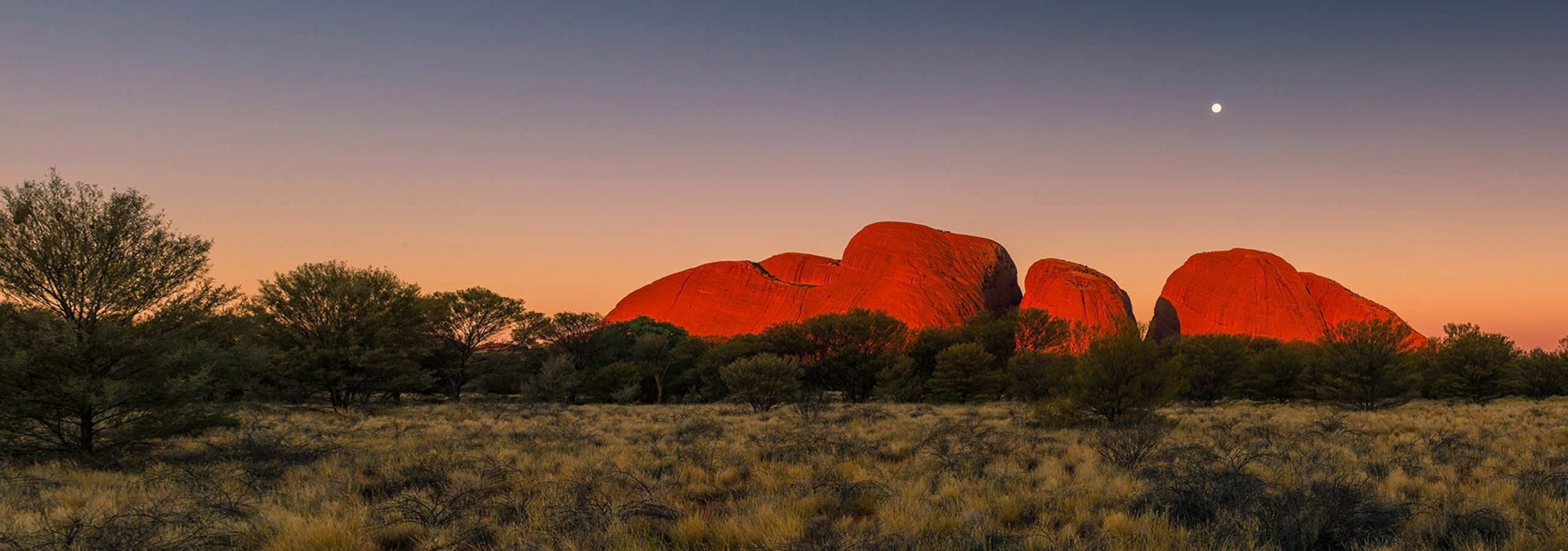 Discover the Northern Territory & Ghan