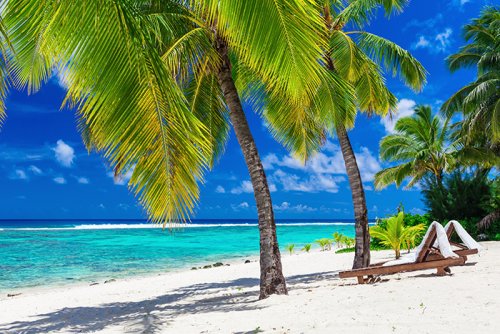 Beach beds under coconut palms