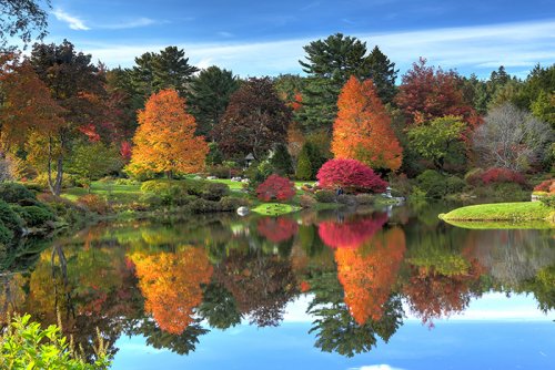 Fall foliage reflected