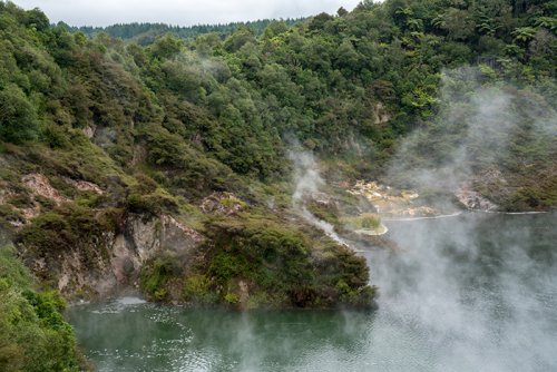 Geothermal springs near Rotorua