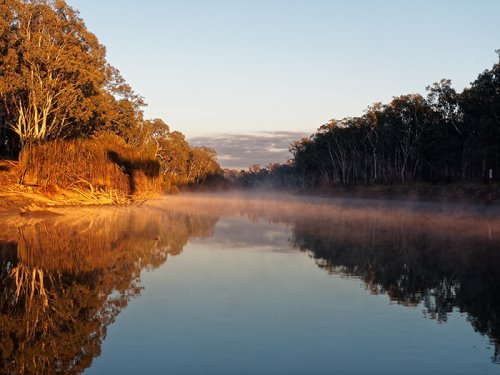 Mist at sunrise on Murray River