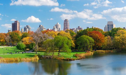 New York City Central Park in Fall