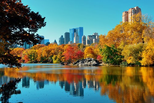New York in Fall