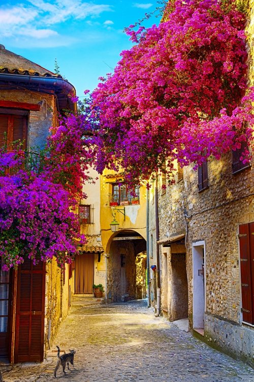 Old town of Provence France Operatunity Travel