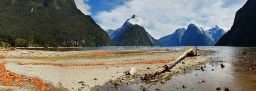 Panorama milford sounds Operatunity Travel