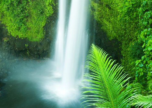Samoa Waterfall