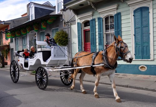 Southern USA horse drawn tour New Orleans French Quarter.