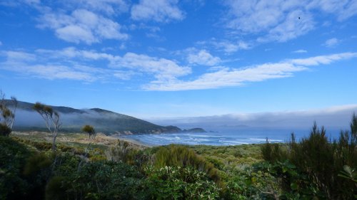 Stewart Island coastal view