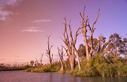 Sunset on Murray River