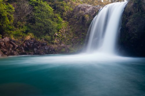 Taranaki Gardens Water from Mt Ruapehu forms Tawhai Falls