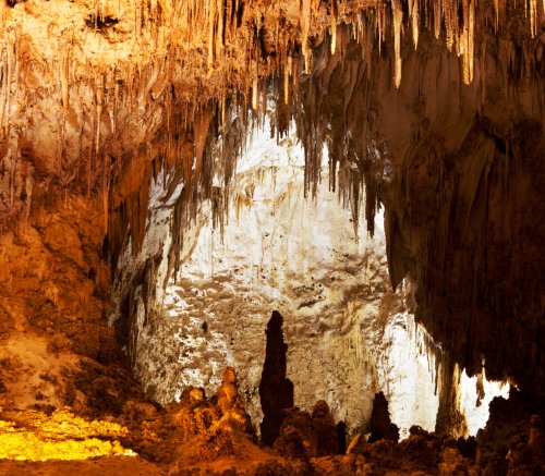 Taranaki Gardens waitomo caves