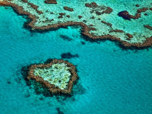 Great Barrier Reef2