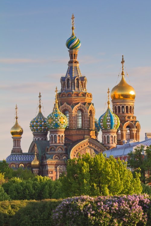 Russia Saint Petersburg Church